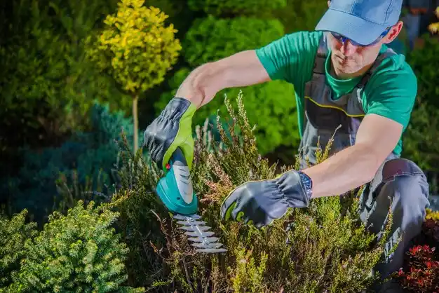 landscaping services Kalkaska